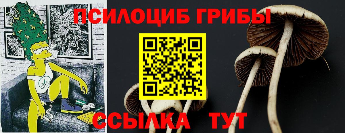 Псилоцибиновые грибы Psilocybine cubensis  Галлюциногенные грибы мухоморы  Вход с VPN  Алапаевск 